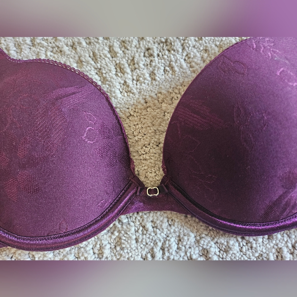 Lily of France Pushup Bra
